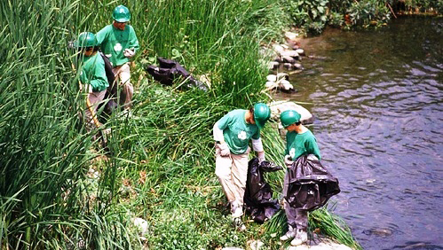 Trash Clean-Up
