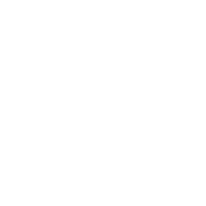 the icon of total investment
